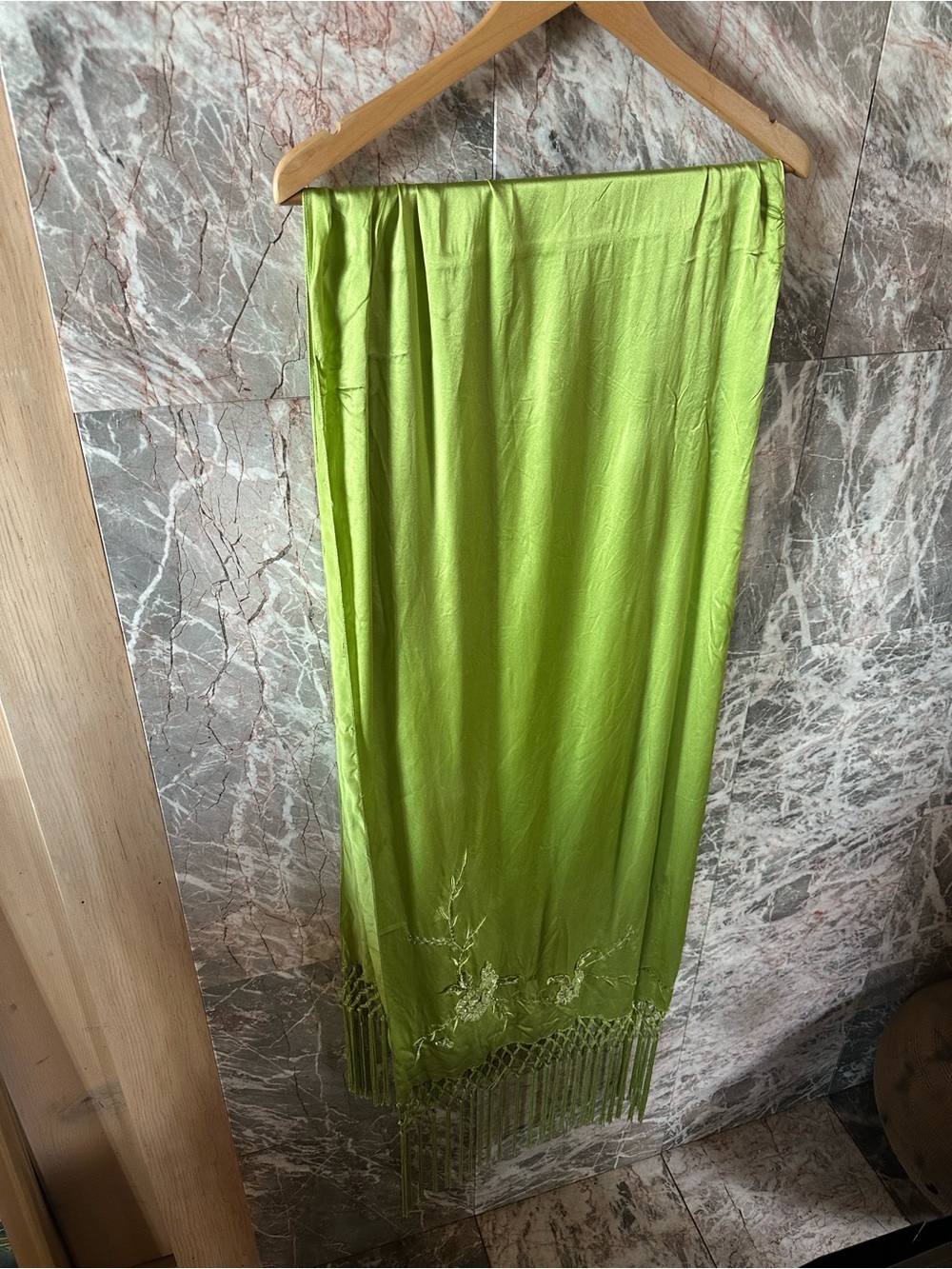 Stunning Embellished Silk Fringe Dress and Scarf - Picture 8 of 12